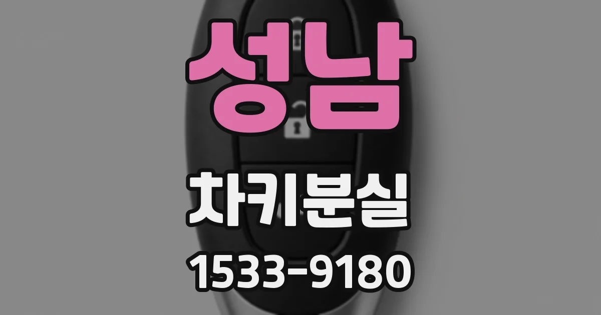 성남 차키분실
