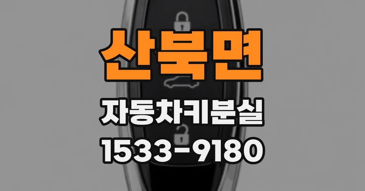 산북면 자동차키분실