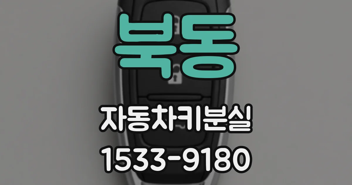 북동 자동차키분실