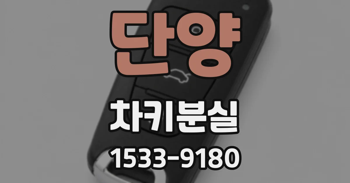 단양 차키분실