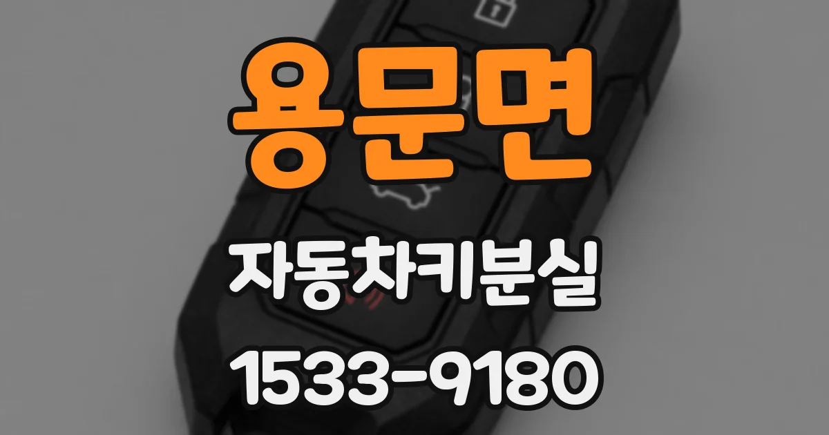 용문면 자동차키분실