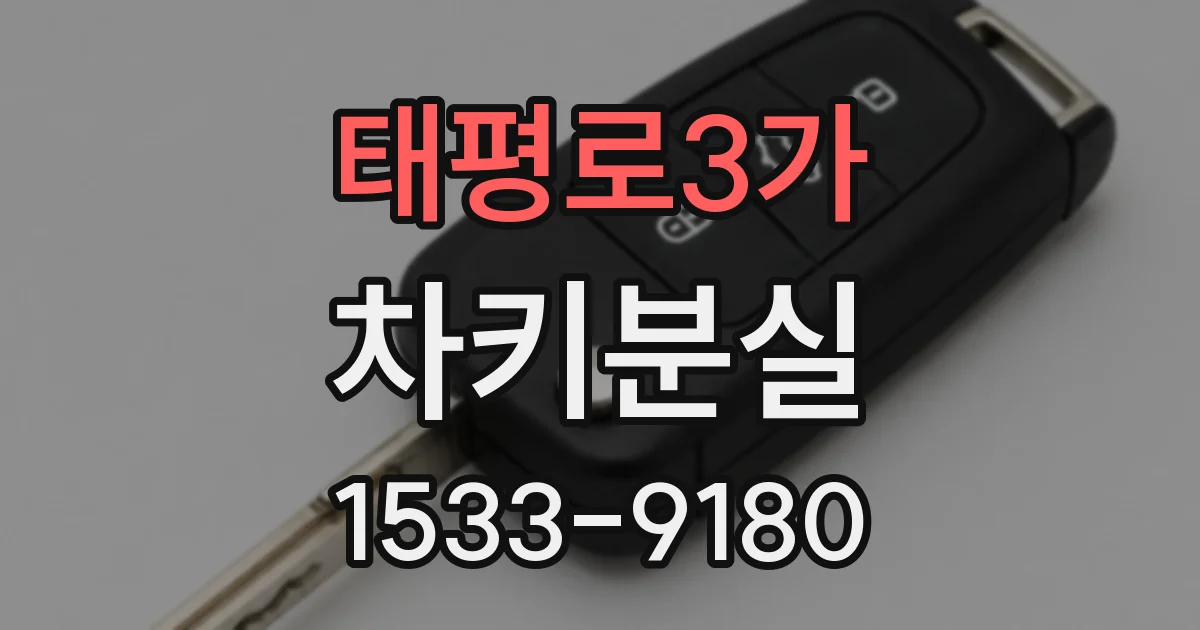 태평로3가 차키분실