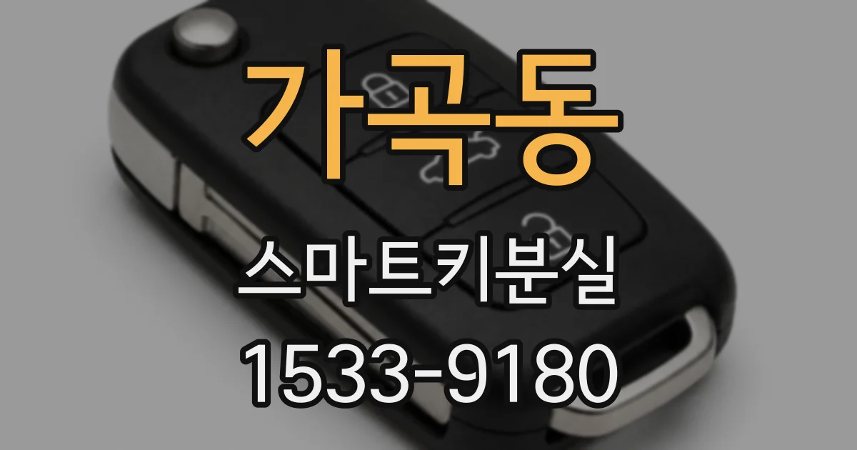 가곡동 스마트키분실