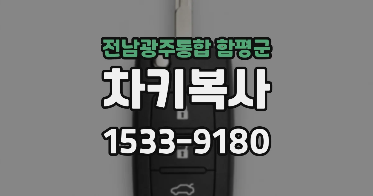 전남광주통합 함평군 차키복사