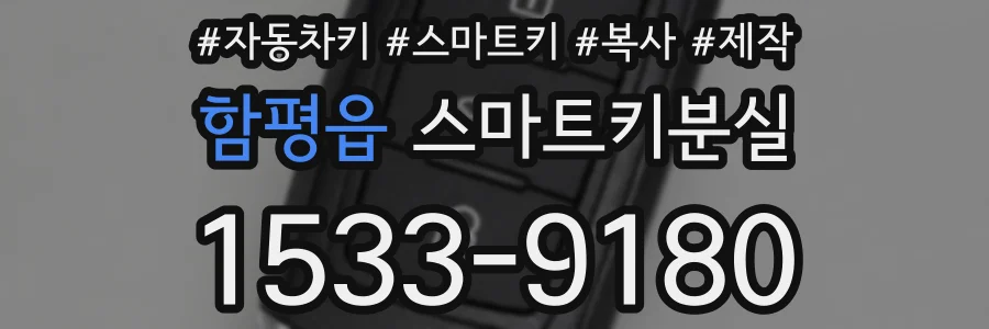 함평읍 스마트키분실