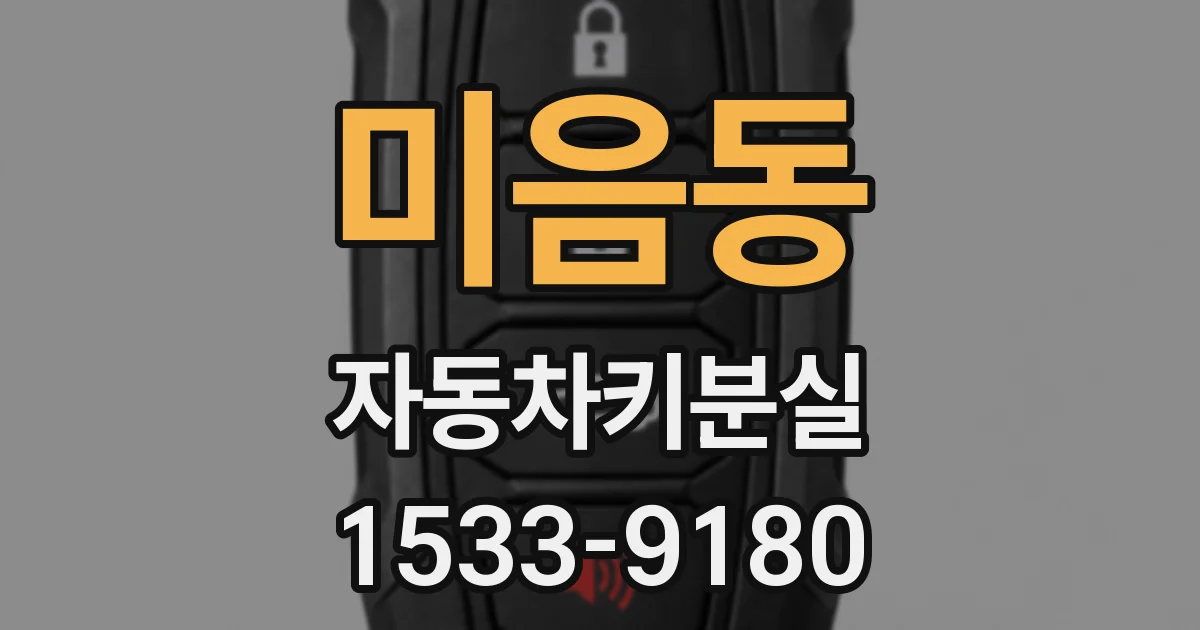 미음동 자동차키분실