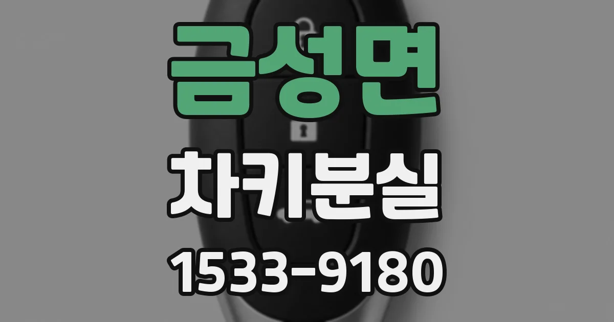 금성면 차키분실