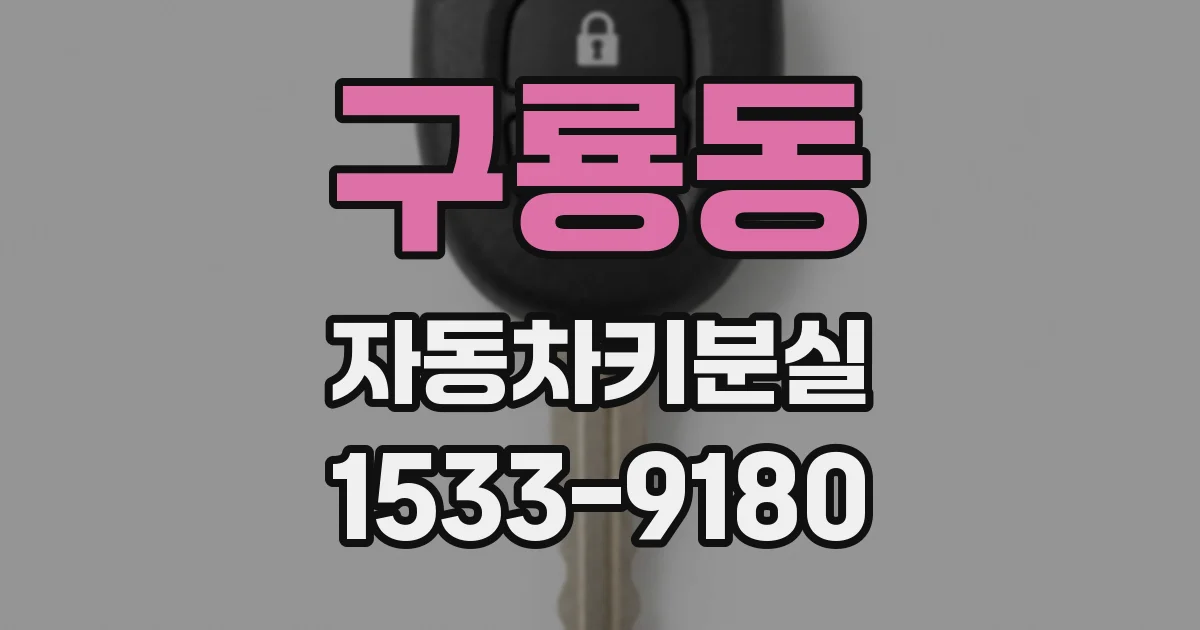 구룡동 자동차키분실