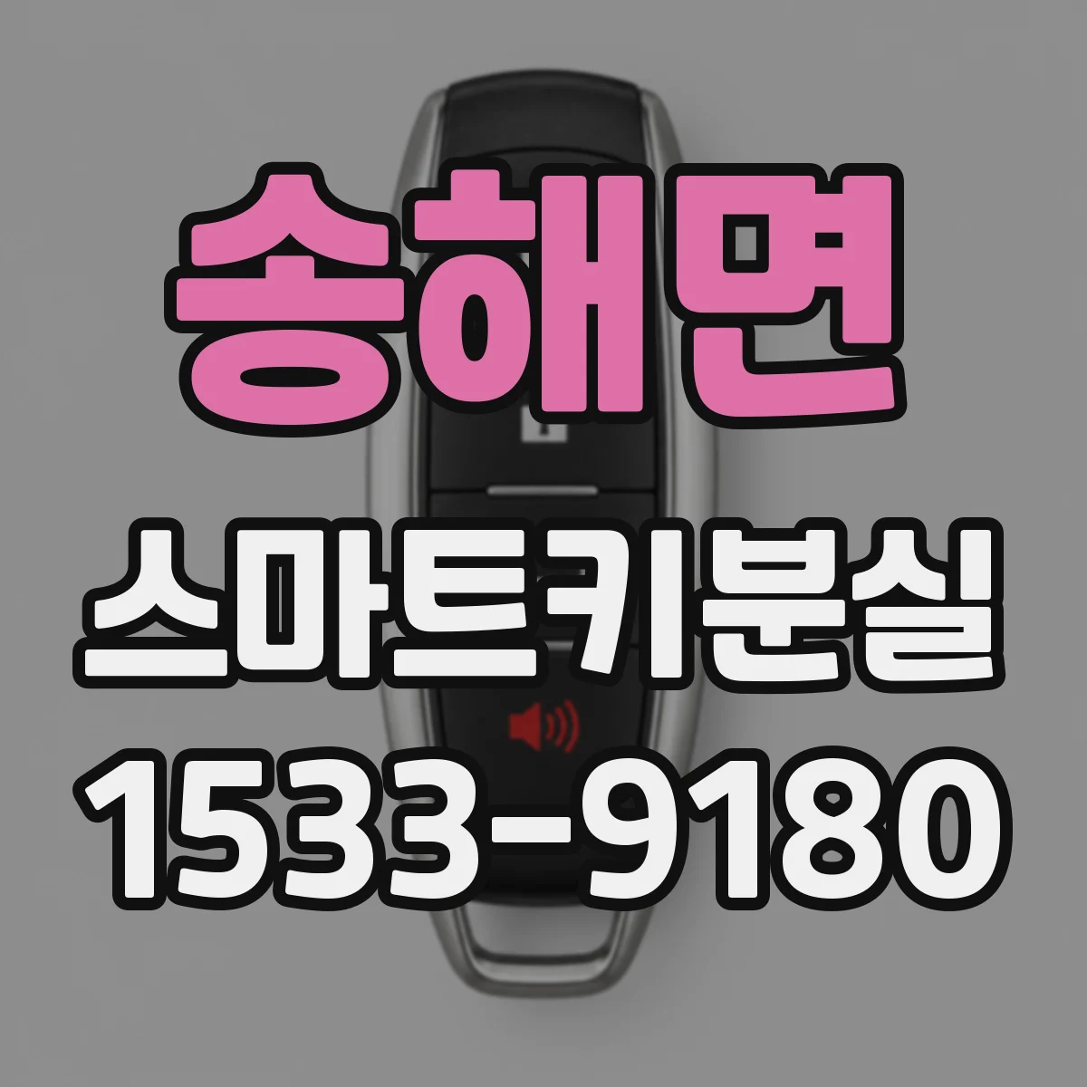 송해면 스마트키분실