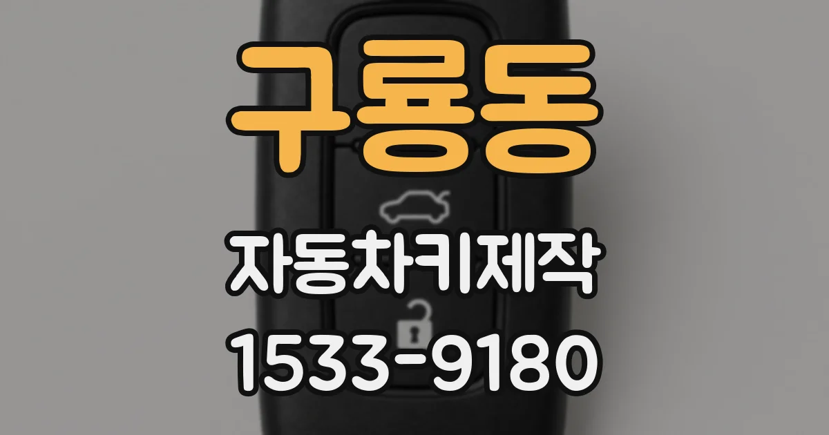 구룡동 자동차키제작