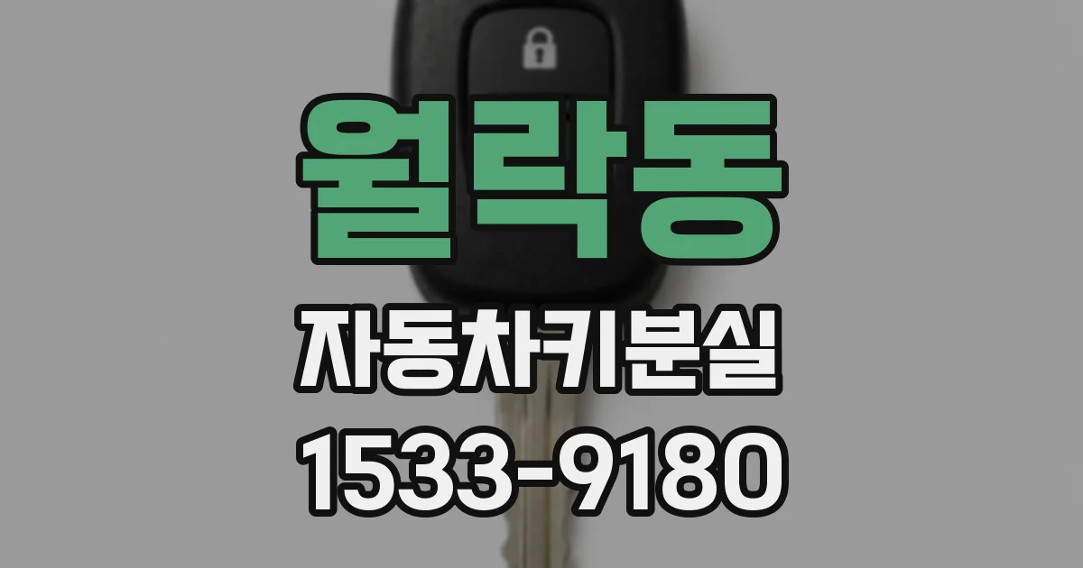 월락동 자동차키분실