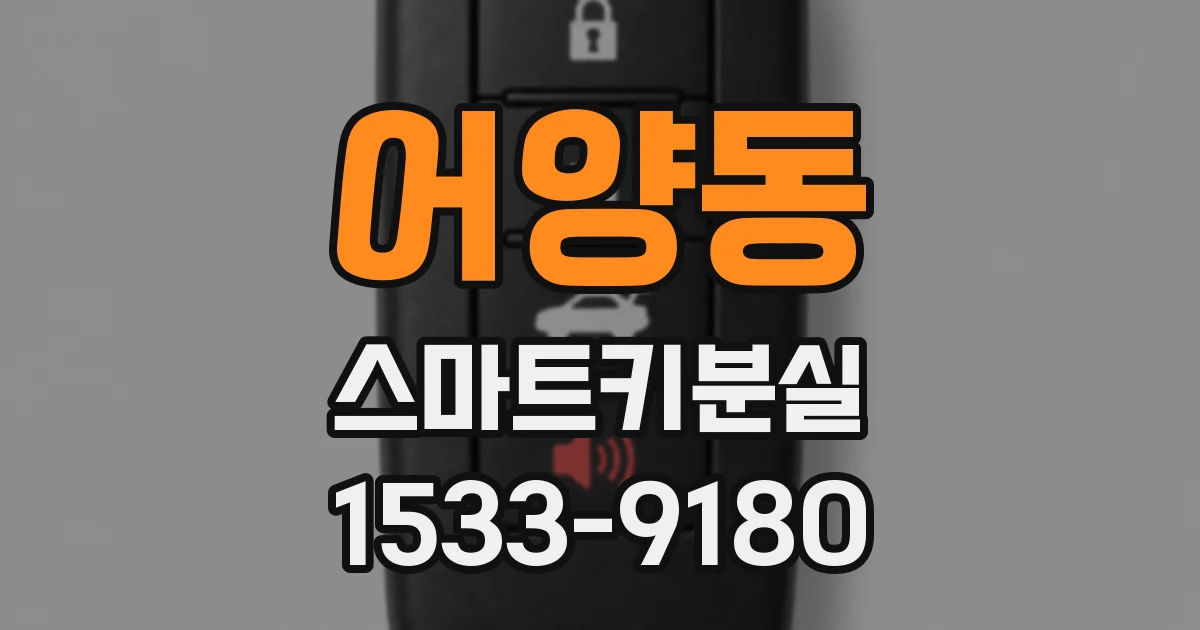 어양동 스마트키분실