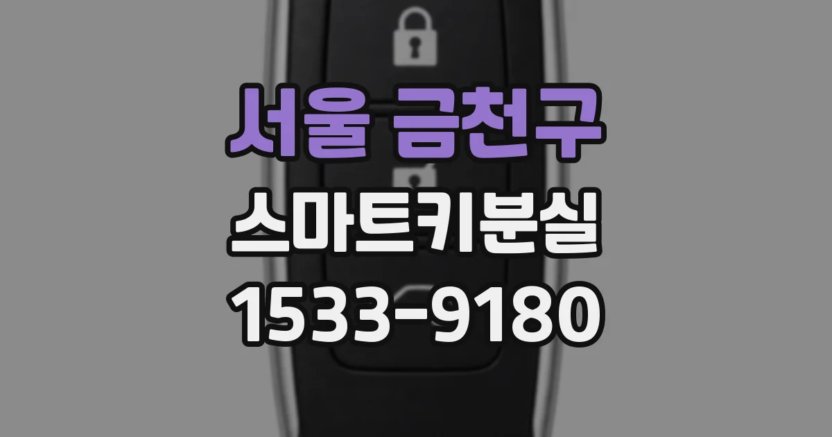 서울 금천구 스마트키분실