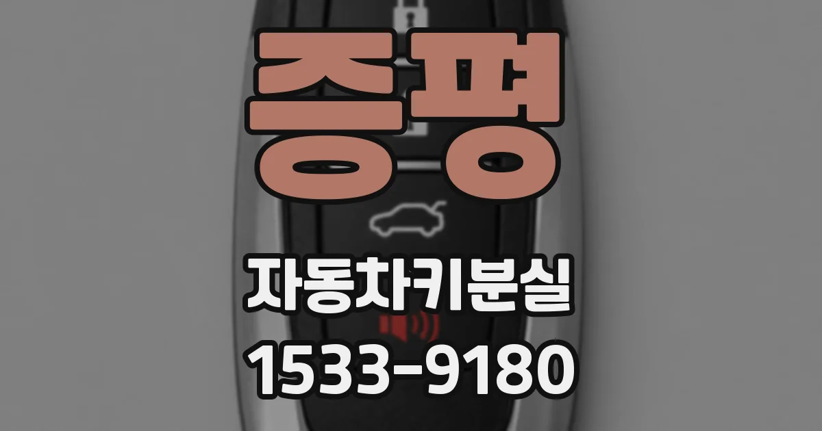 증평 자동차키분실
