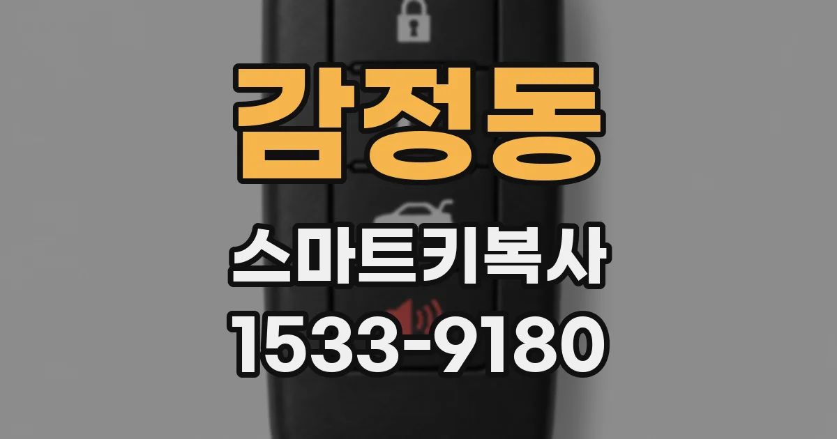 감정동 스마트키복사