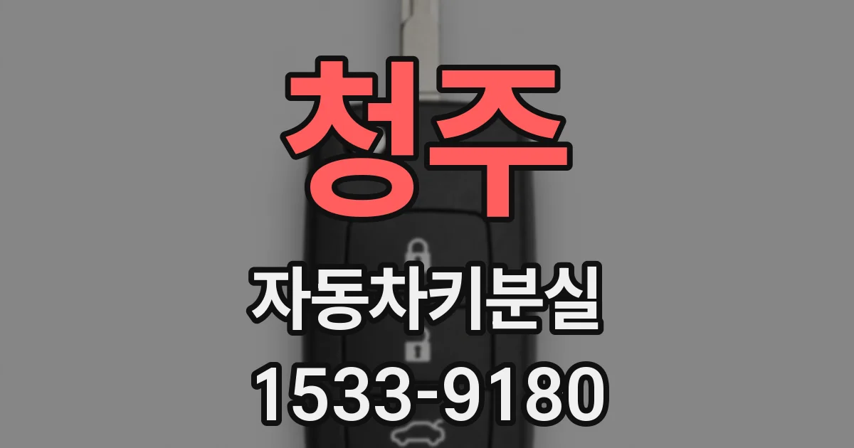청주 자동차키분실