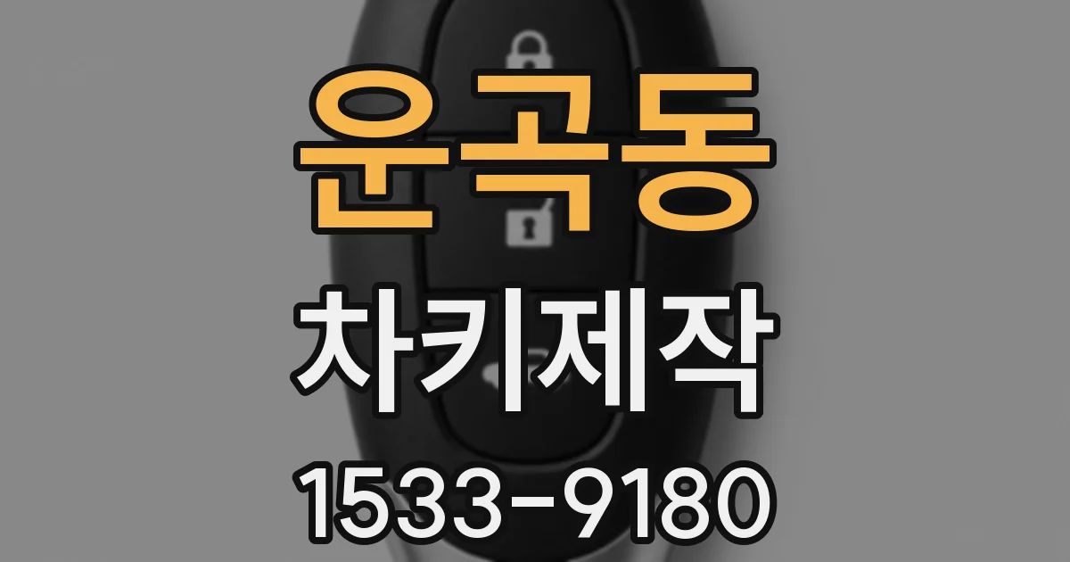 운곡동 차키제작