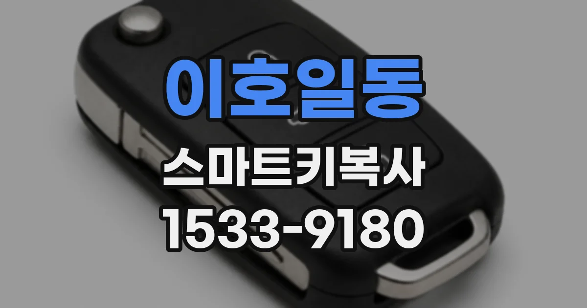 이호일동 스마트키복사