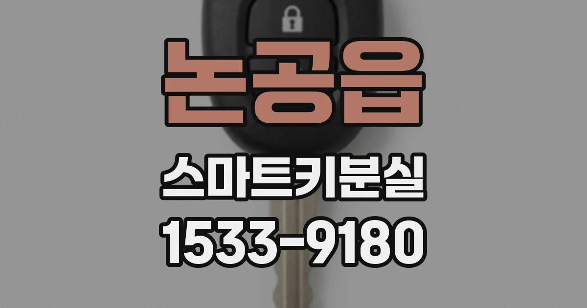 논공읍 스마트키분실