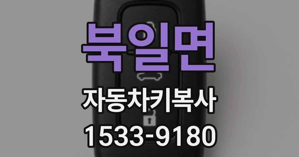 북일면 자동차키복사