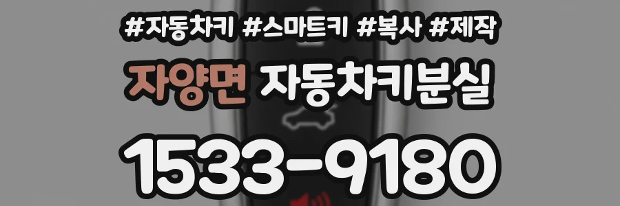 자양면 자동차키분실