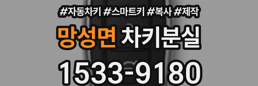 망성면 차키분실