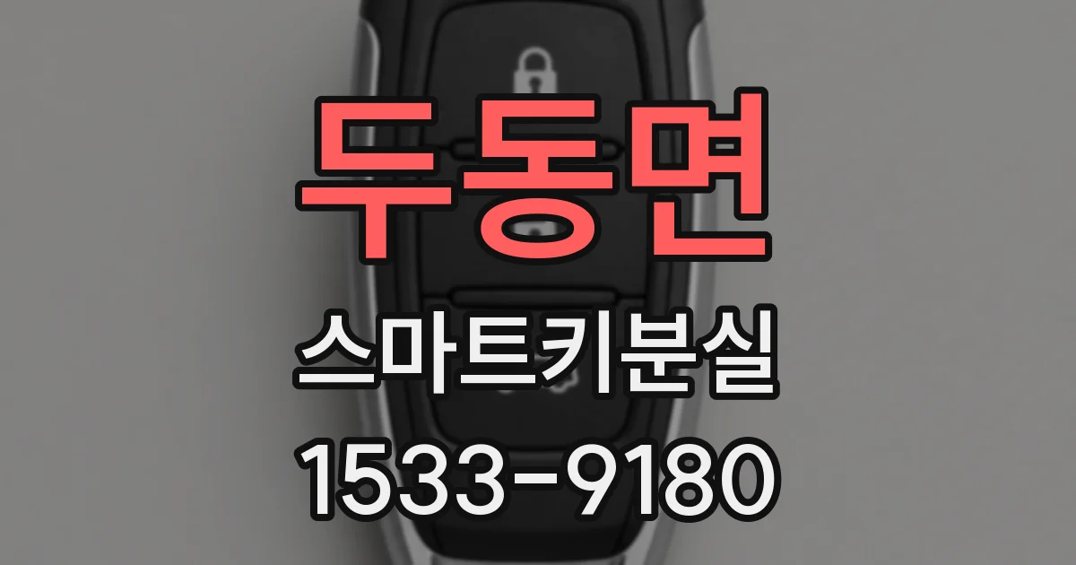 두동면 스마트키분실