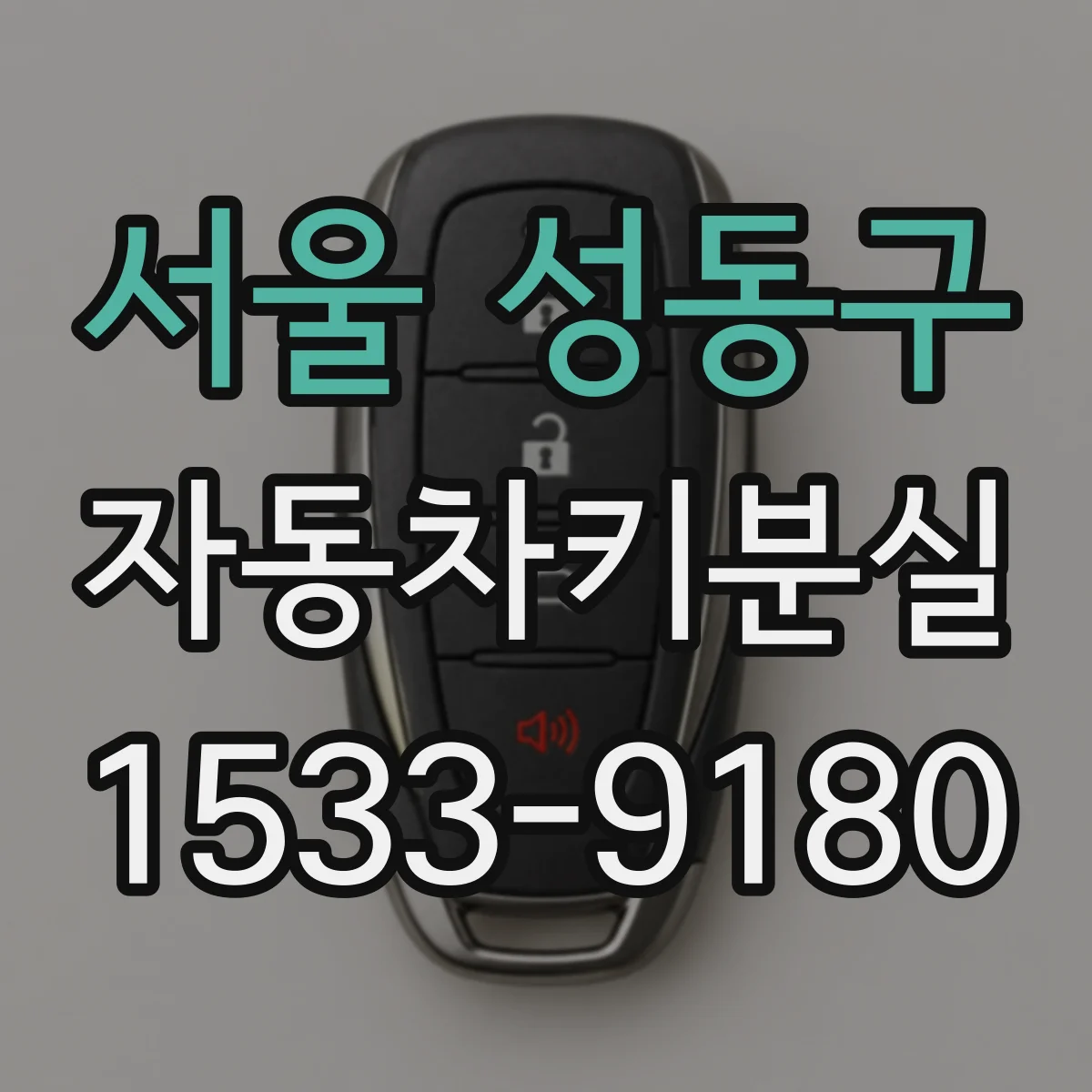 서울 성동구 자동차키분실
