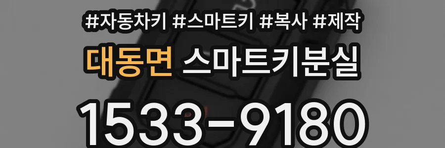 대동면 스마트키분실