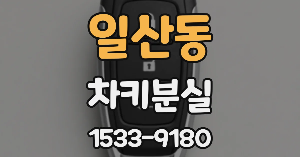 일산동 차키분실