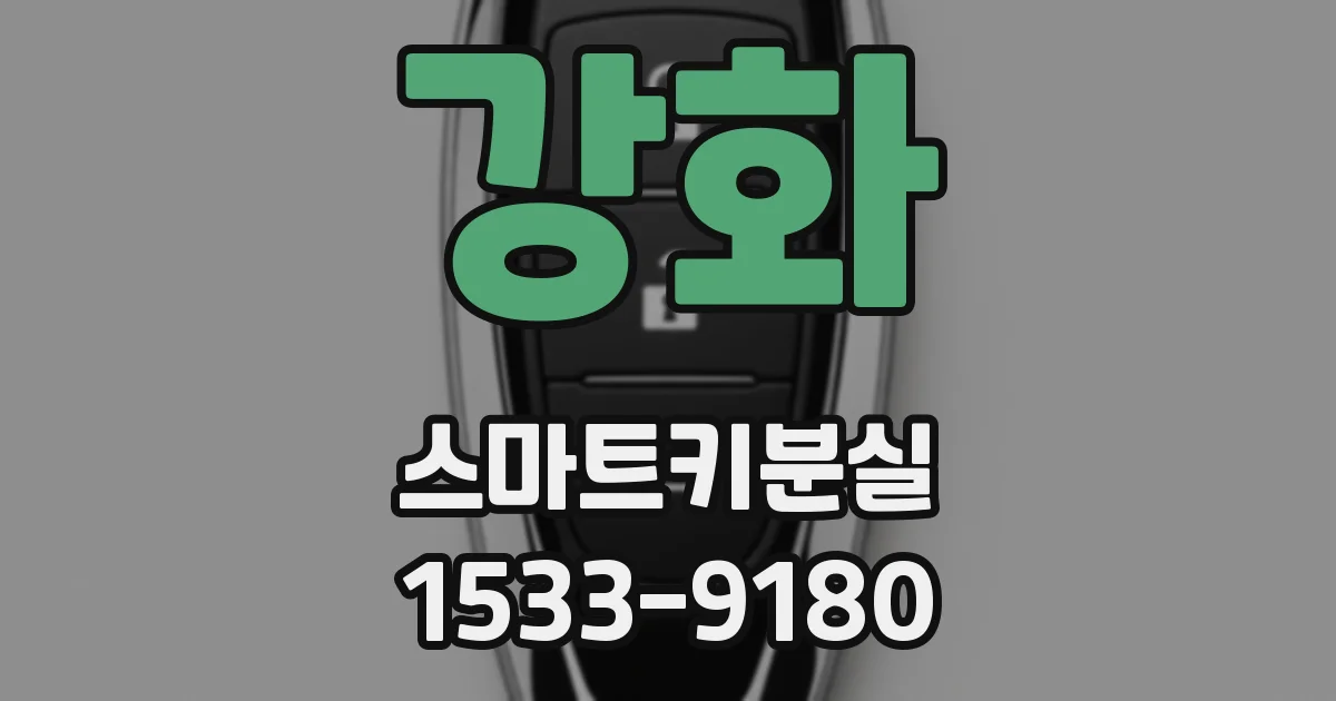 강화 스마트키분실