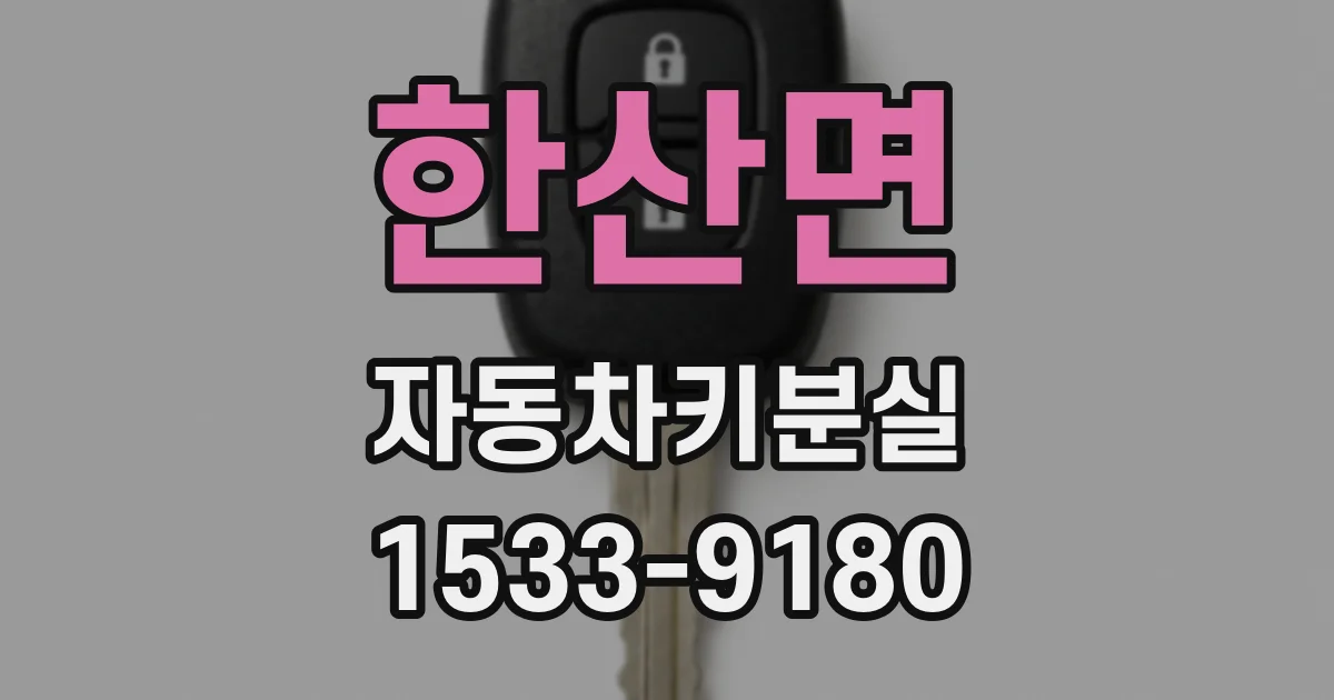한산면 자동차키분실