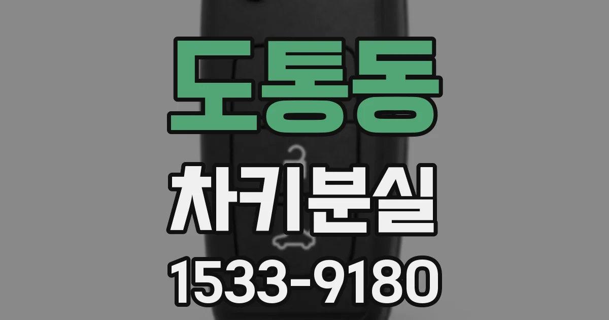 도통동 차키분실