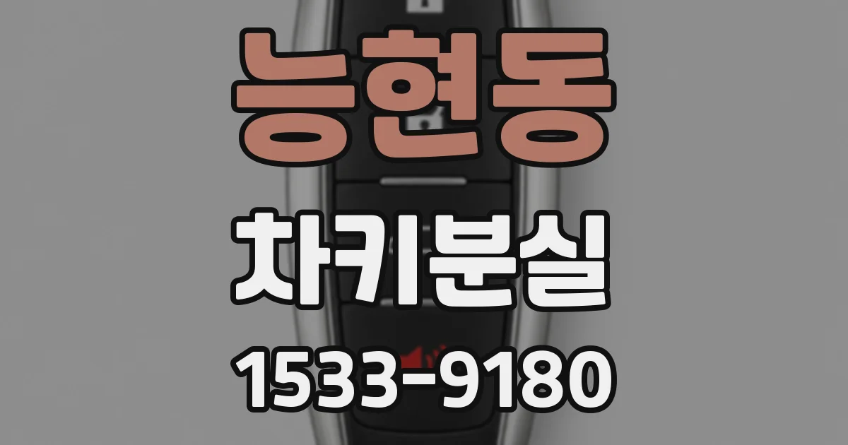 능현동 차키분실