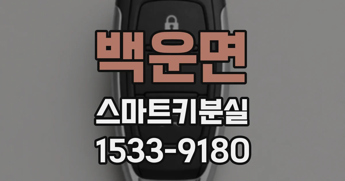백운면 스마트키분실