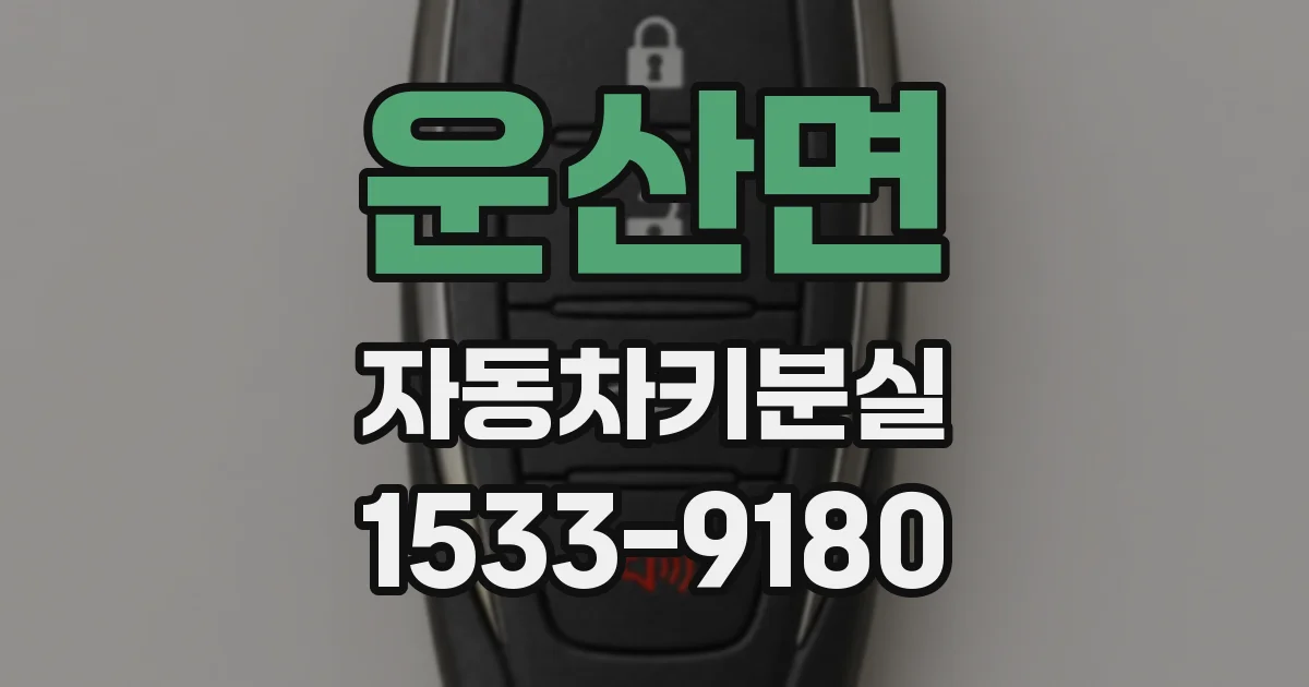운산면 자동차키분실
