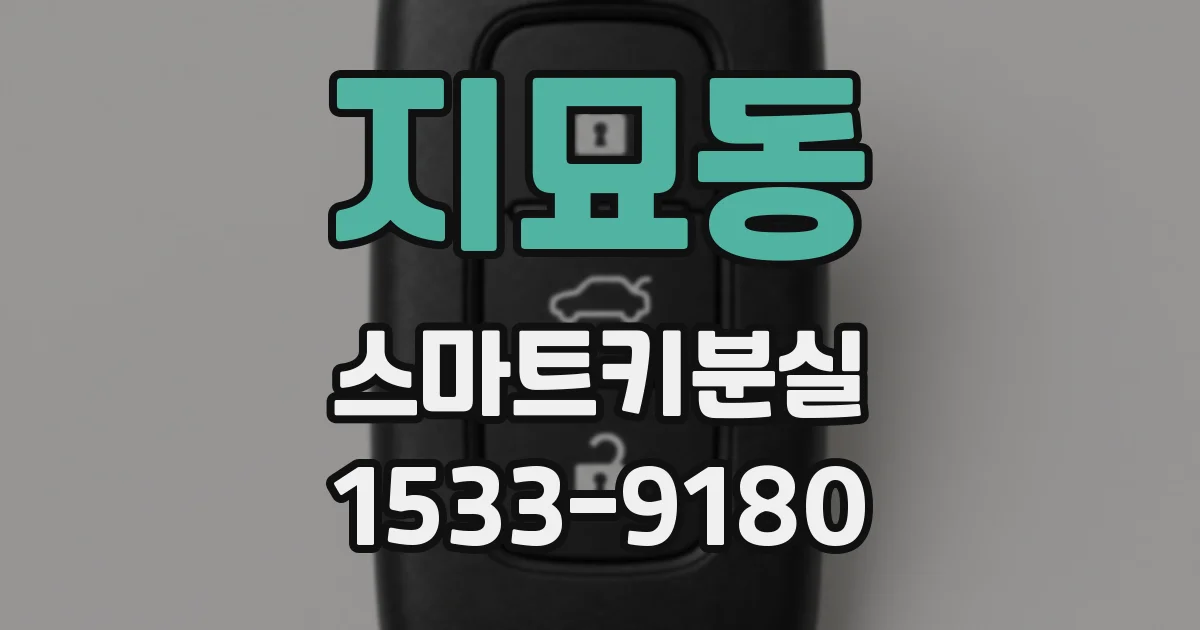 지묘동 스마트키분실