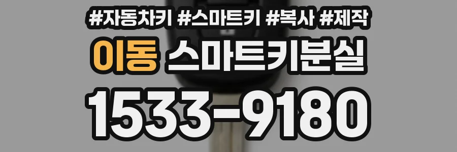 이동 스마트키분실