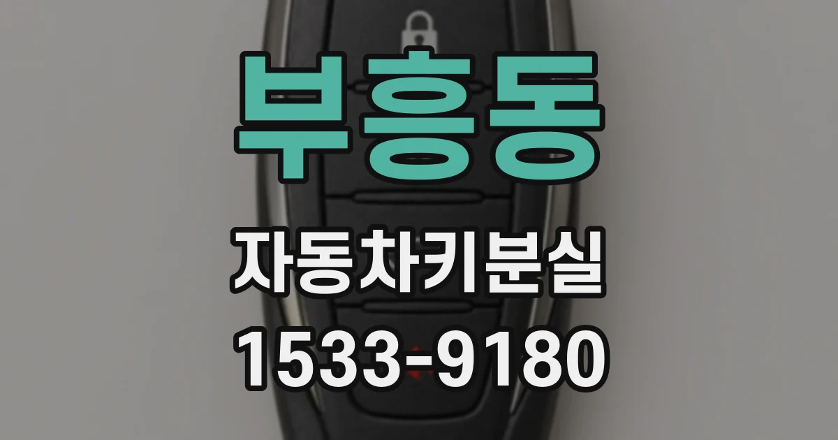 부흥동 자동차키분실