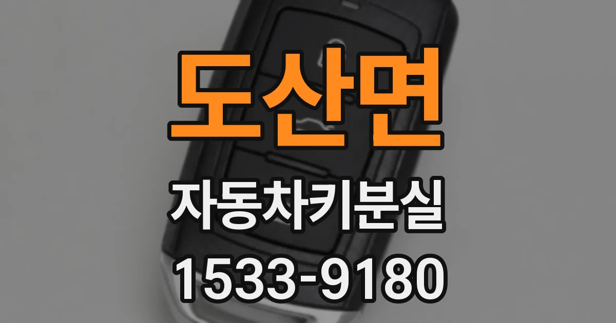 도산면 자동차키분실