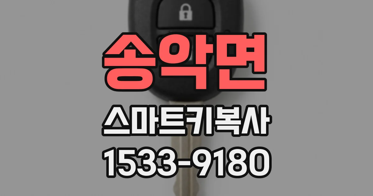 송악면 스마트키복사