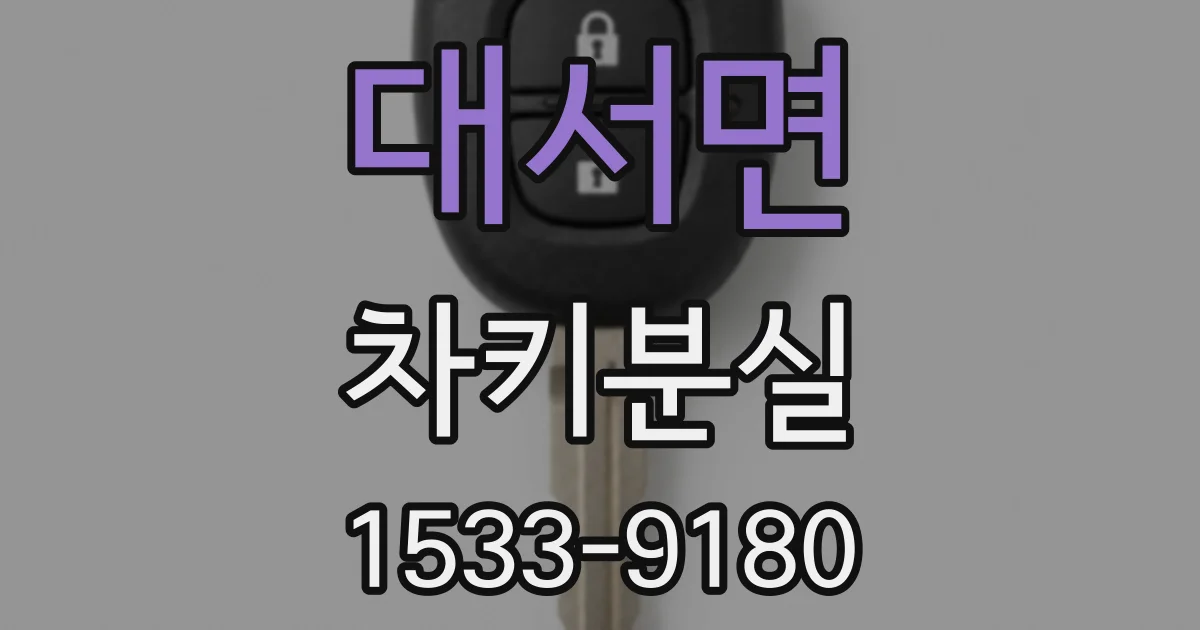대서면 차키분실