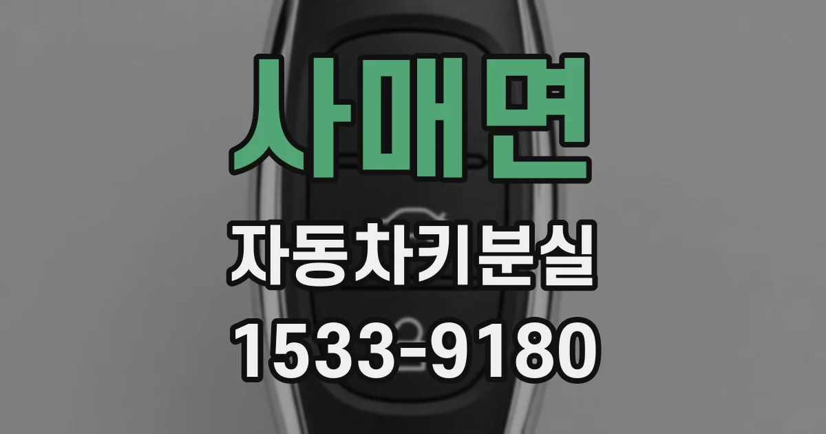 사매면 자동차키분실