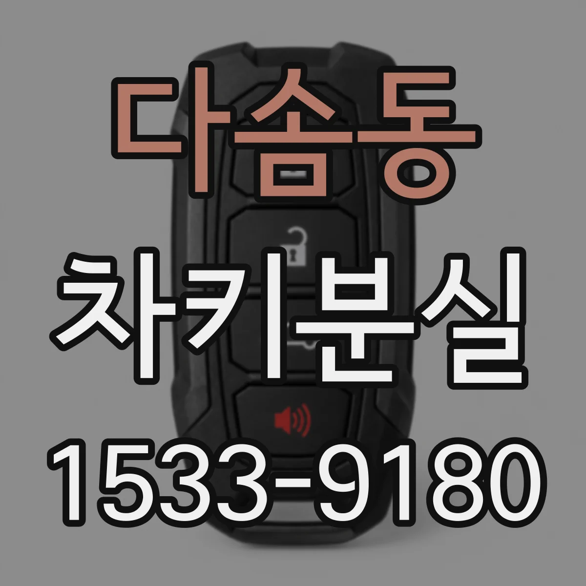 다솜동 차키분실