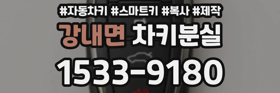강내면 차키분실
