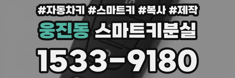 웅진동 스마트키분실