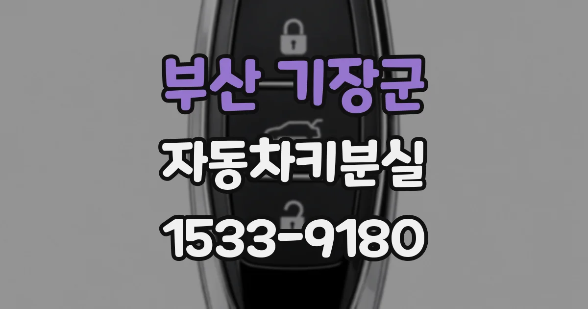 부산 기장군 자동차키분실