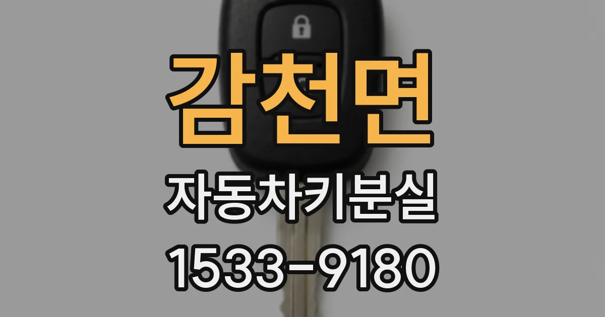 감천면 자동차키분실