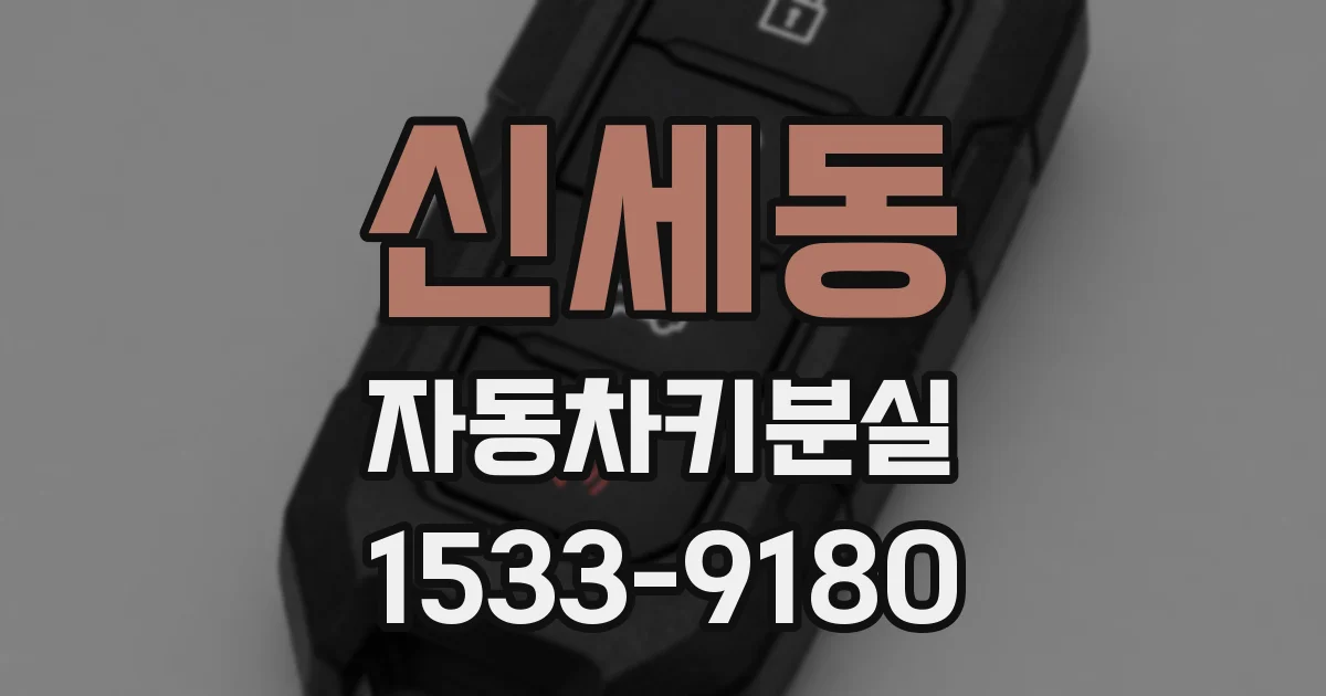 신세동 자동차키분실