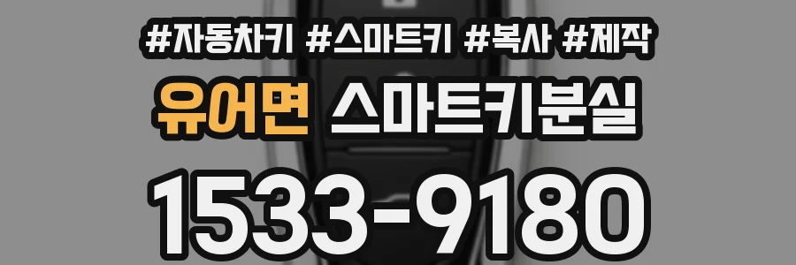 유어면 스마트키분실
